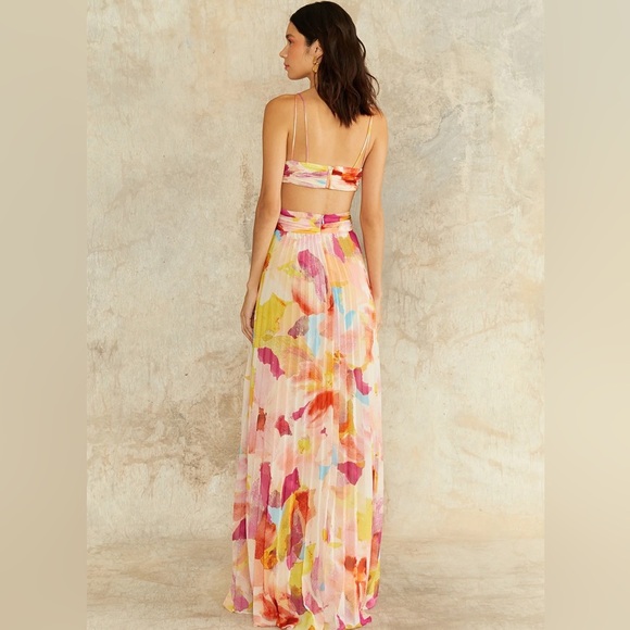 NWT Amur Lisle Pleated Gown desert lily color - size 0 - Picture 3 of 10